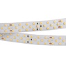 Лента светодиодная RT 2-5000 24V Day4000 3x2 (2835, 1260 LED, LUX) (Arlight, 27 Вт/м, IP20)