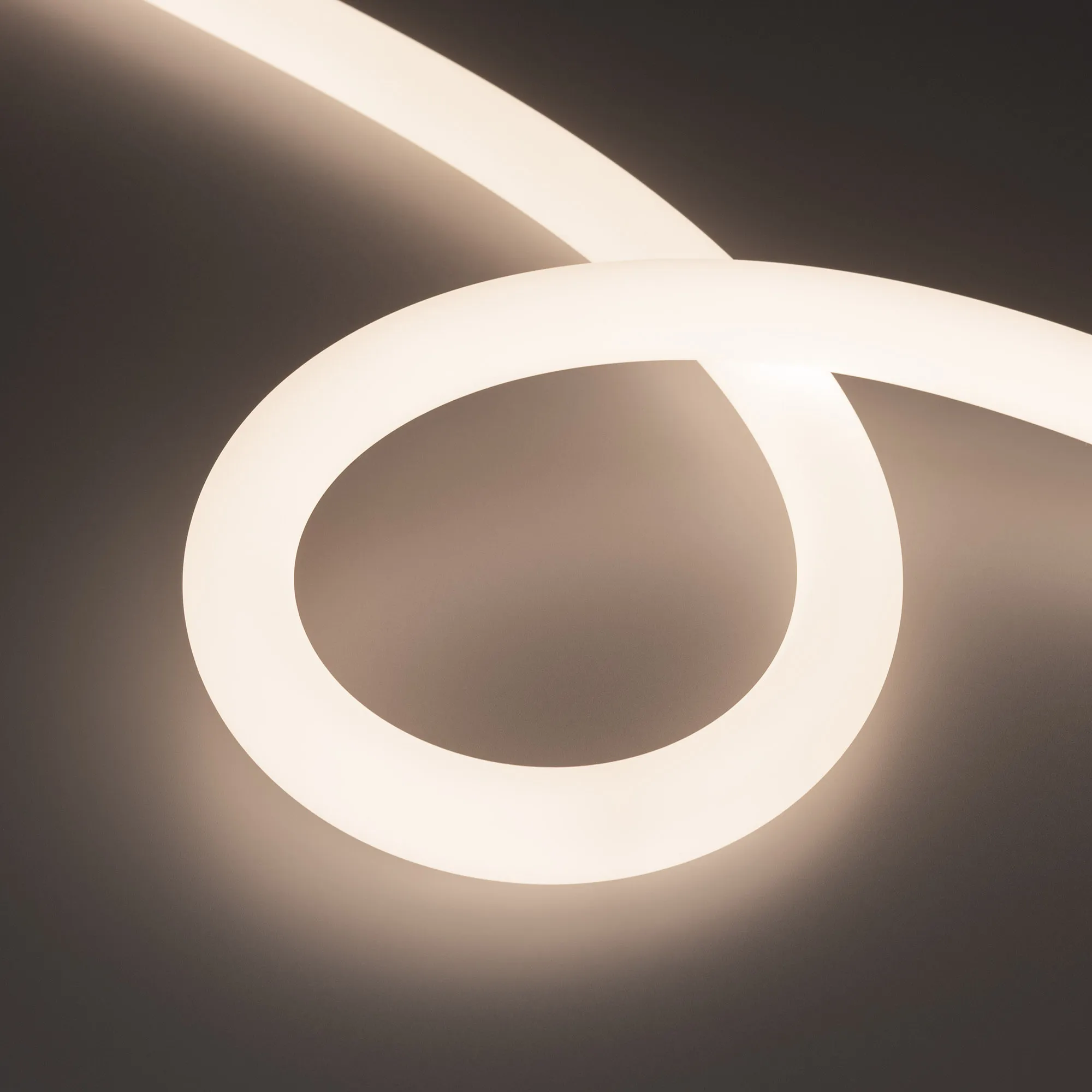 Лента светодиодная герметичная MOONLIGHT-SIDE-FP-X1088-D25mm 24V Day4000 (20 W/m, IP65, 5m, wire x1) (Arlight, Вывод боковой, 3 года)